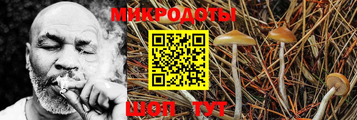 Орёл  Галлюциногенные грибы Psilocybine cubensis  Вход с VPN  Псилоцибиновые грибы Psilocybe 