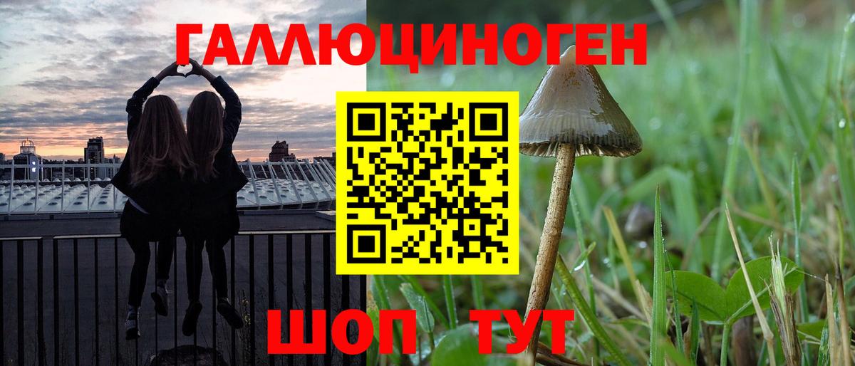 Псилоцибиновые грибы мицелий Орёл